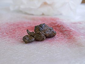 おなら友達の輪　サンプル画像04